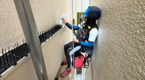 東京都新宿区　無足場工法ロープアクセス鳥害対策工事